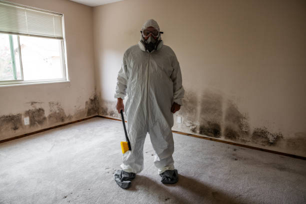 Mold Remediation for Vacation Homes in Red Lion, PA